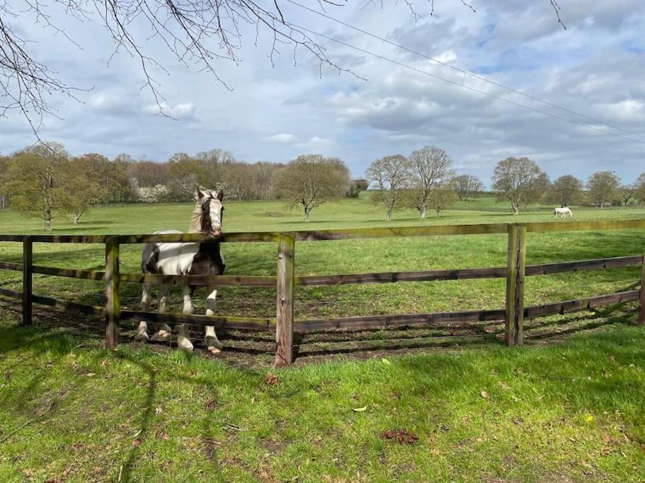 Jersey Cottage Horseheath Bagian luar foto